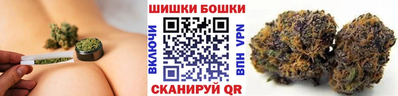Бошки Шишки семена  Купить закладки  Тбилисская 
